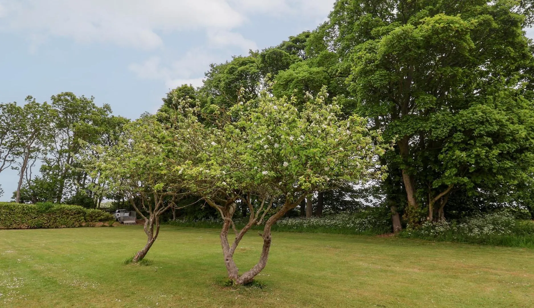 The Grange Villa Flamborough